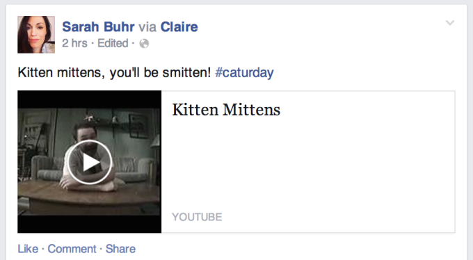 Kittens
