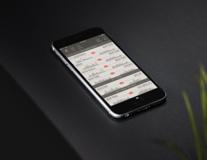 Grabbing a seat - or a whole plane - is easy with the JetSmarter app