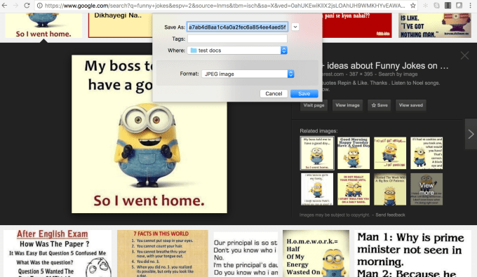 Screen shot of a Google Image Search page showing photos with image macros