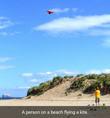 Google TensorFlow Captioning