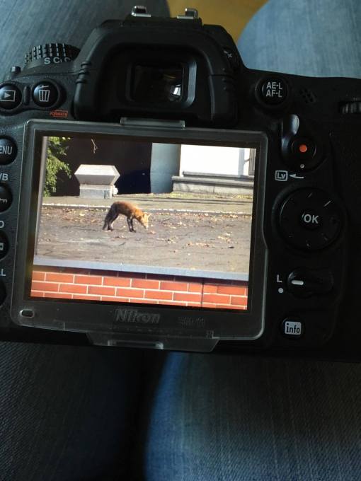 Professional photographer and DIYPhotography writer John Aldred shared this photo on Facebook; a perfect illustration of the issue at hand. (photo (c) John Aldred, used by permission)