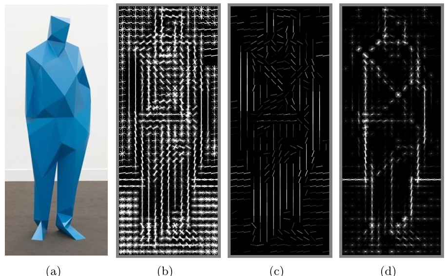 A "histogram of oriented gradients," finding edges and other features using a technique like that found in the brain's visual areas.